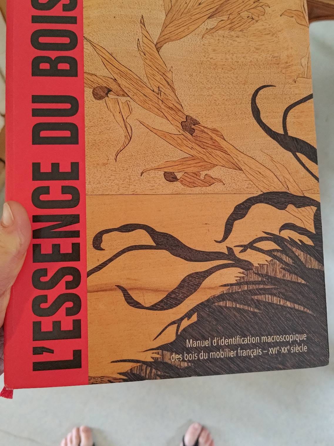 la kermesse du Toboggan
