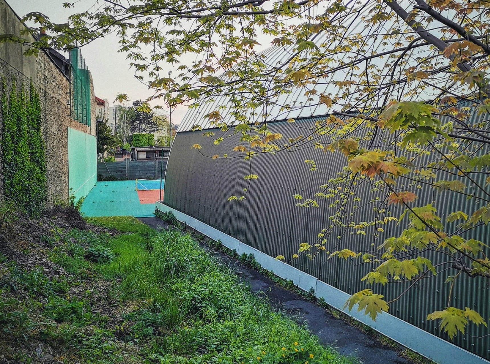 verdure