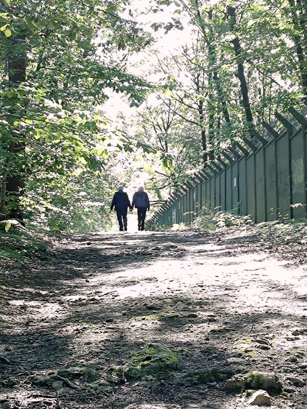rando au bois de Verrières
