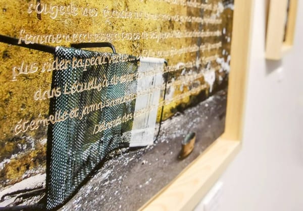 exposition "mémoire de disparues" de Susy Lagrange à la médiathèque