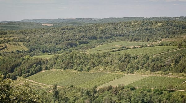 Beaune (2024)